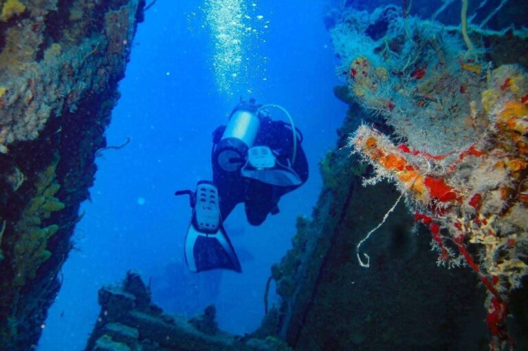 Planning a Duane Wreck Dive: Essential Tips